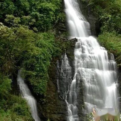医者仁心 12岁舞者重拾梦想的希望之光